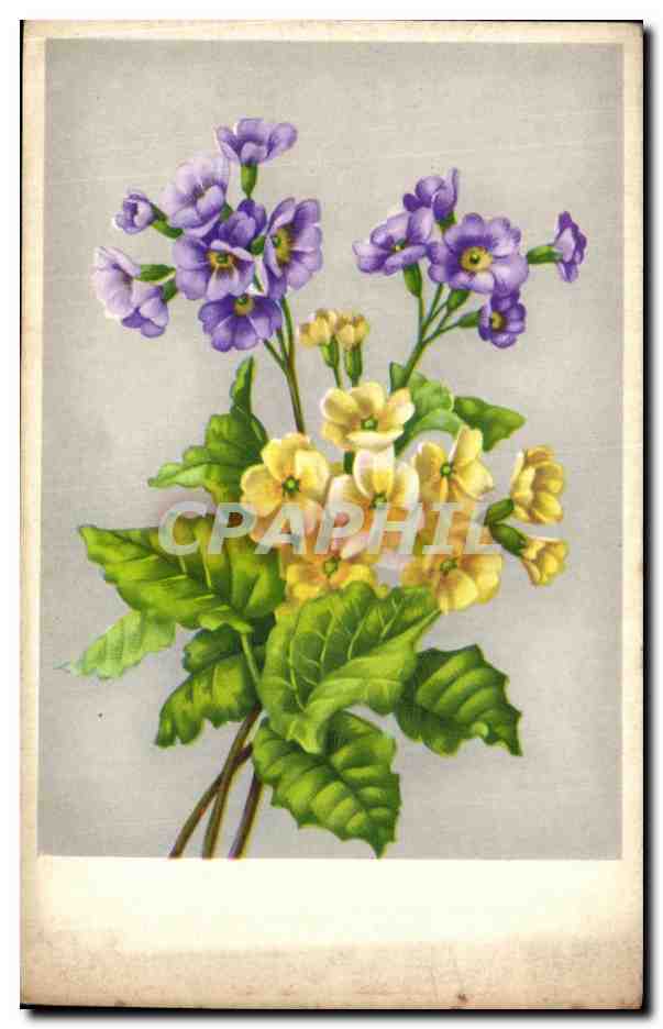 CPA Fantaisie Fleurs 