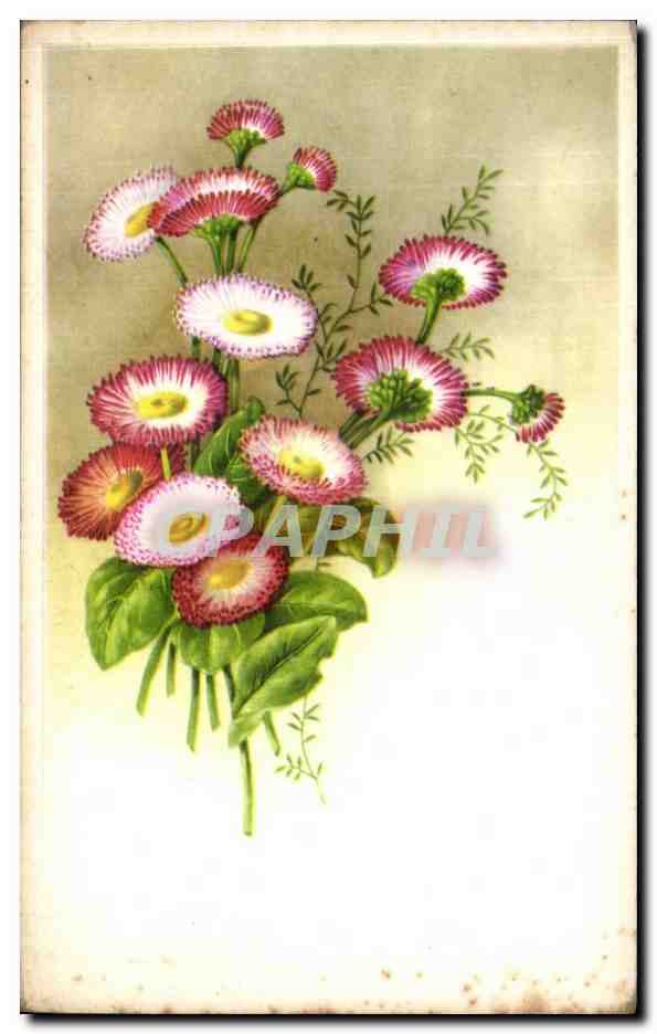 CPA Fantaisie Fleurs 