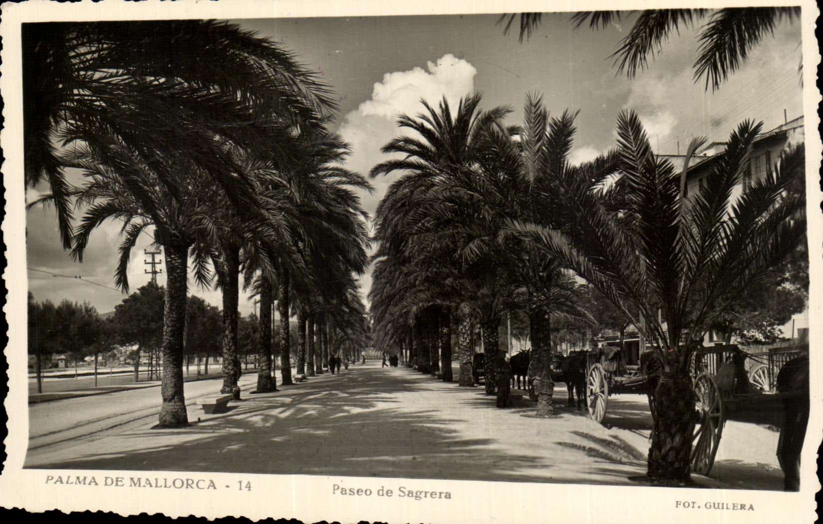 CPA Palma de Mallorca Paseo de SAgrera