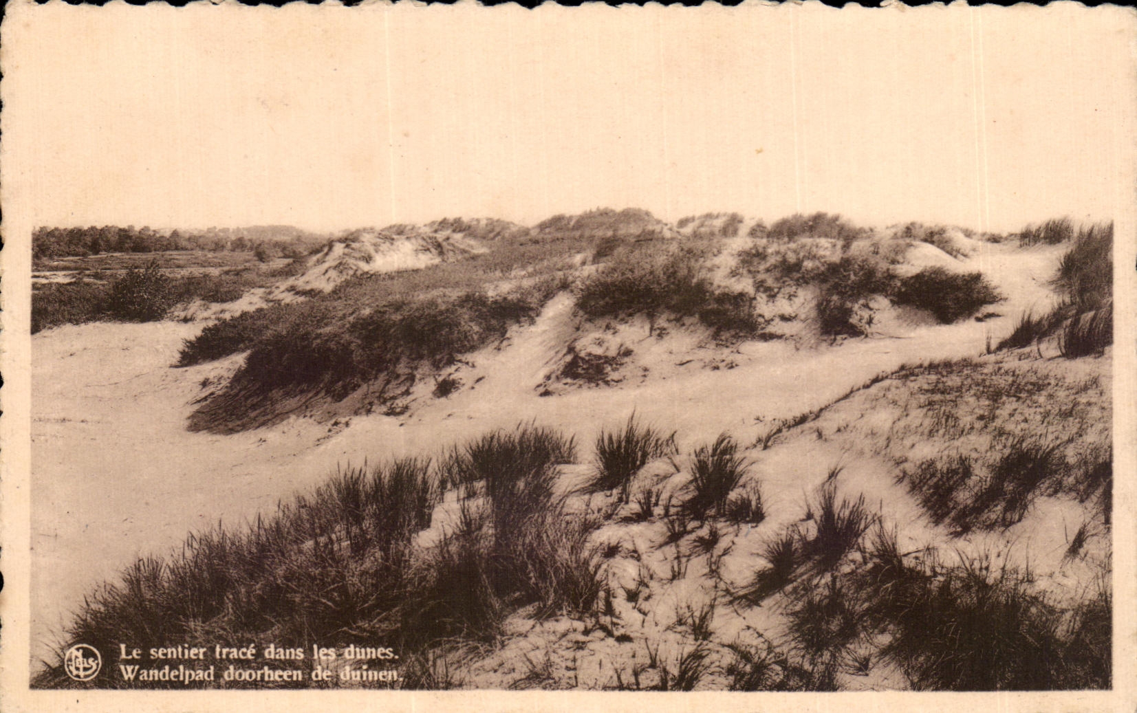 CPA Le Sentier Trace Dans Les Dunes Wandelpad Dooheen De Juinen