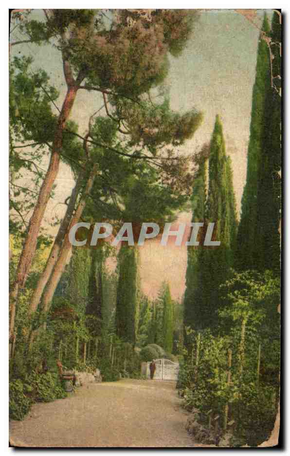 Rose-Allee — Krim — unbekannter Verleger, Nr. 159
