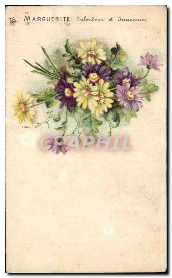 CPA Marguerite Fantaisie Fleurs 