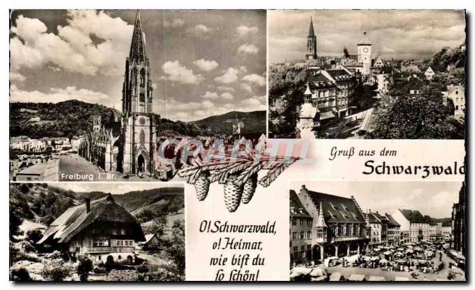 CPA Gruss aus dem Schwarzwald Freiburg