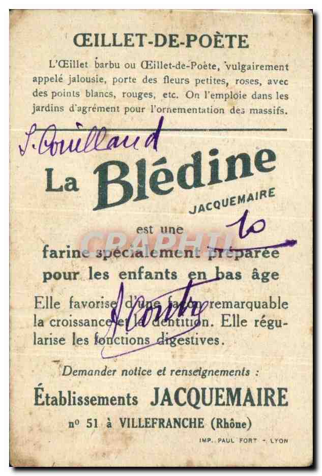 Image Bledine Oeillets De Poete — Verso