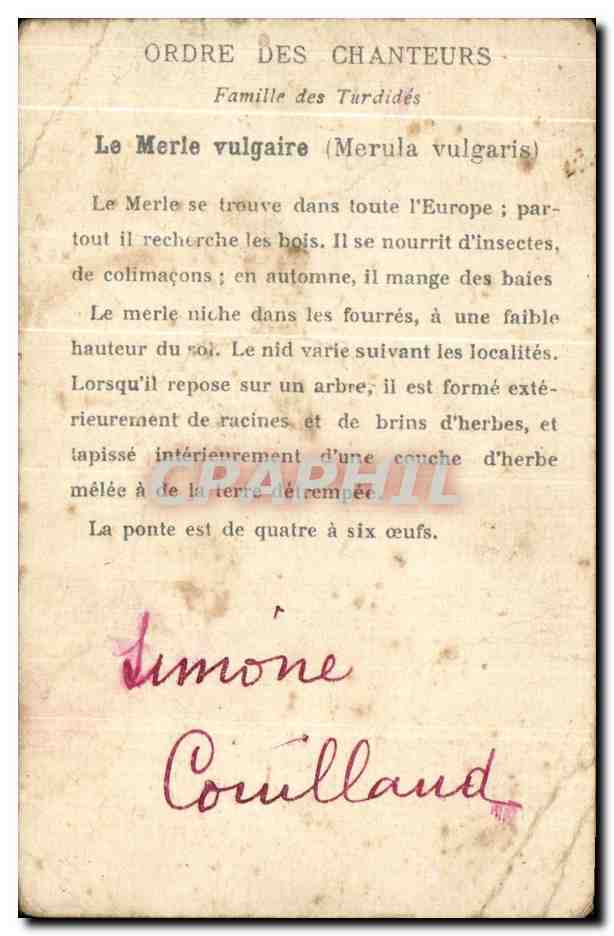 Image Le Merle — Rückseite