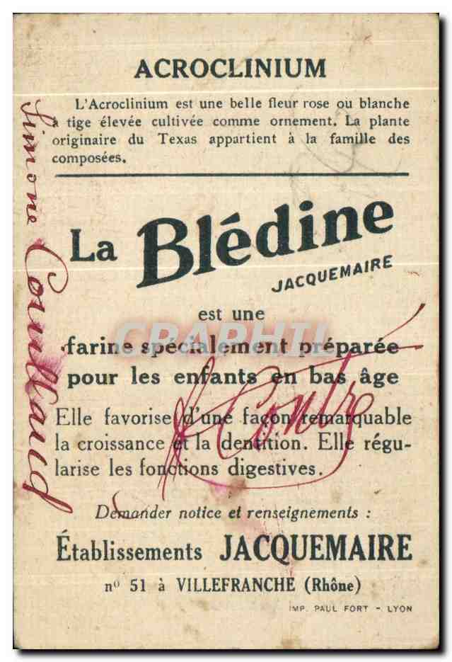 Image Acroclinium Bledine — Rückseite