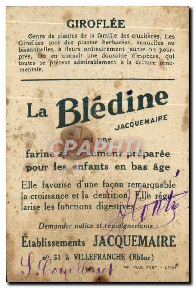 Image Bledine Giroflee — Rückseite