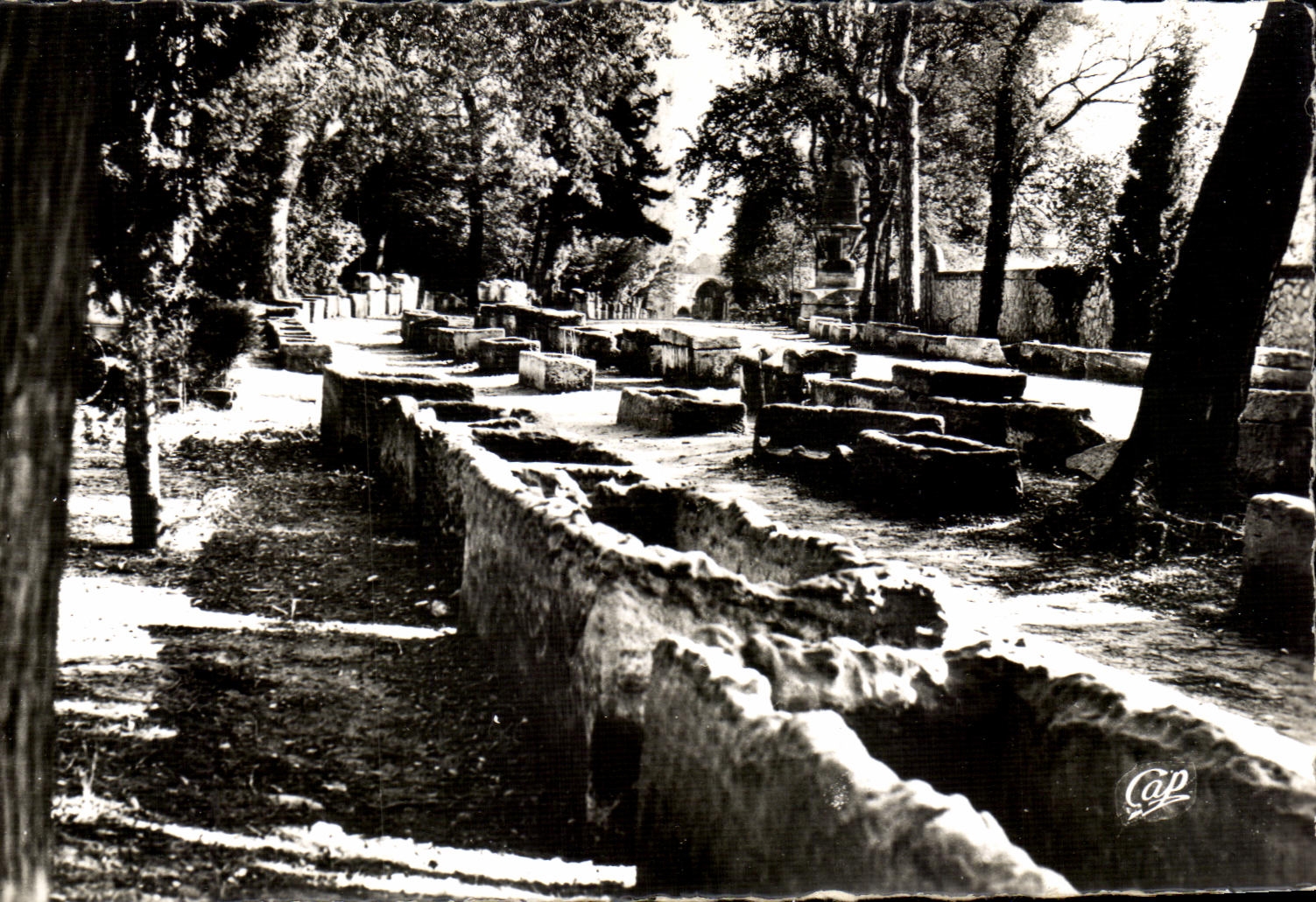 CPA Arles Les Alyscamps allee des Tombeaux