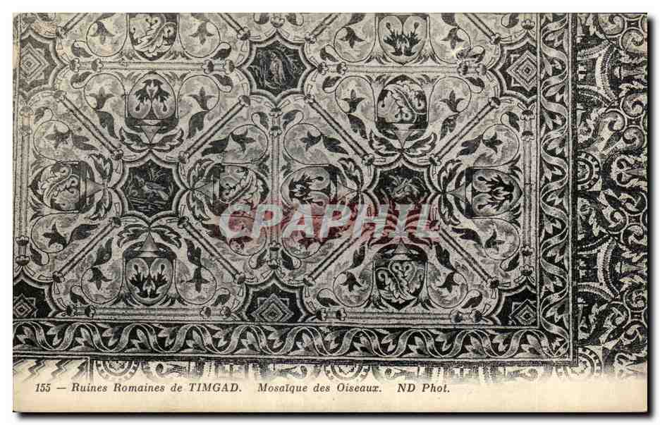 Römische Ruinen von TIMGAD — Mosaik der Vögel — ND Phot.