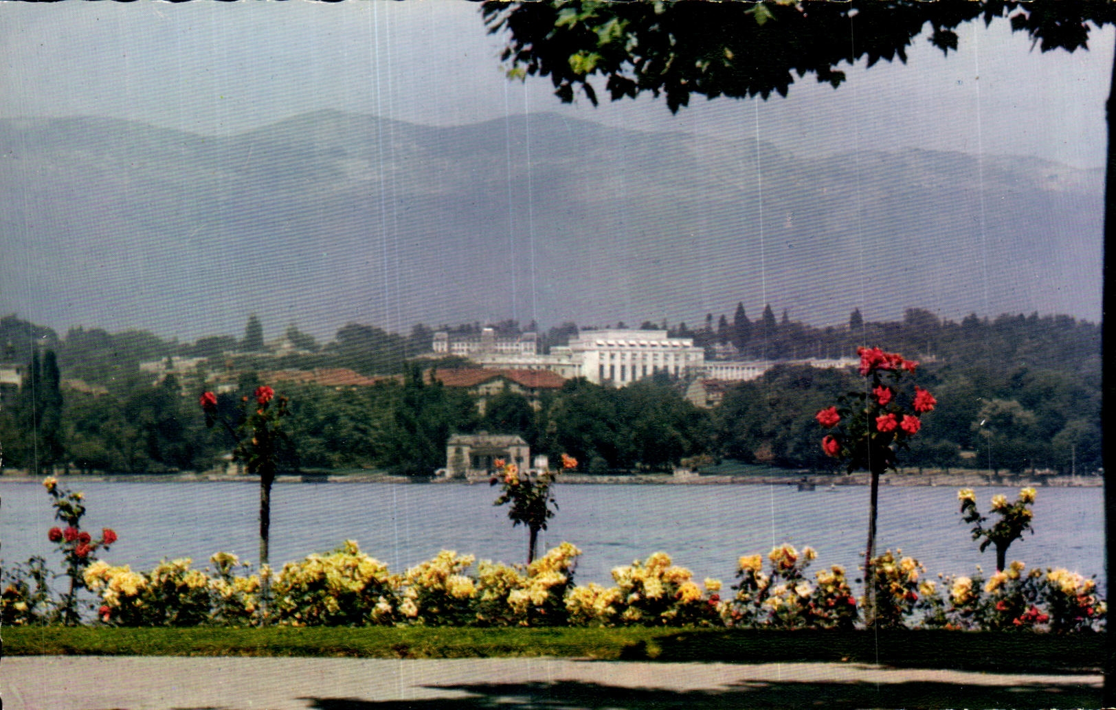 CPA Geneve Les Quais fleuris et le Palais des Nations