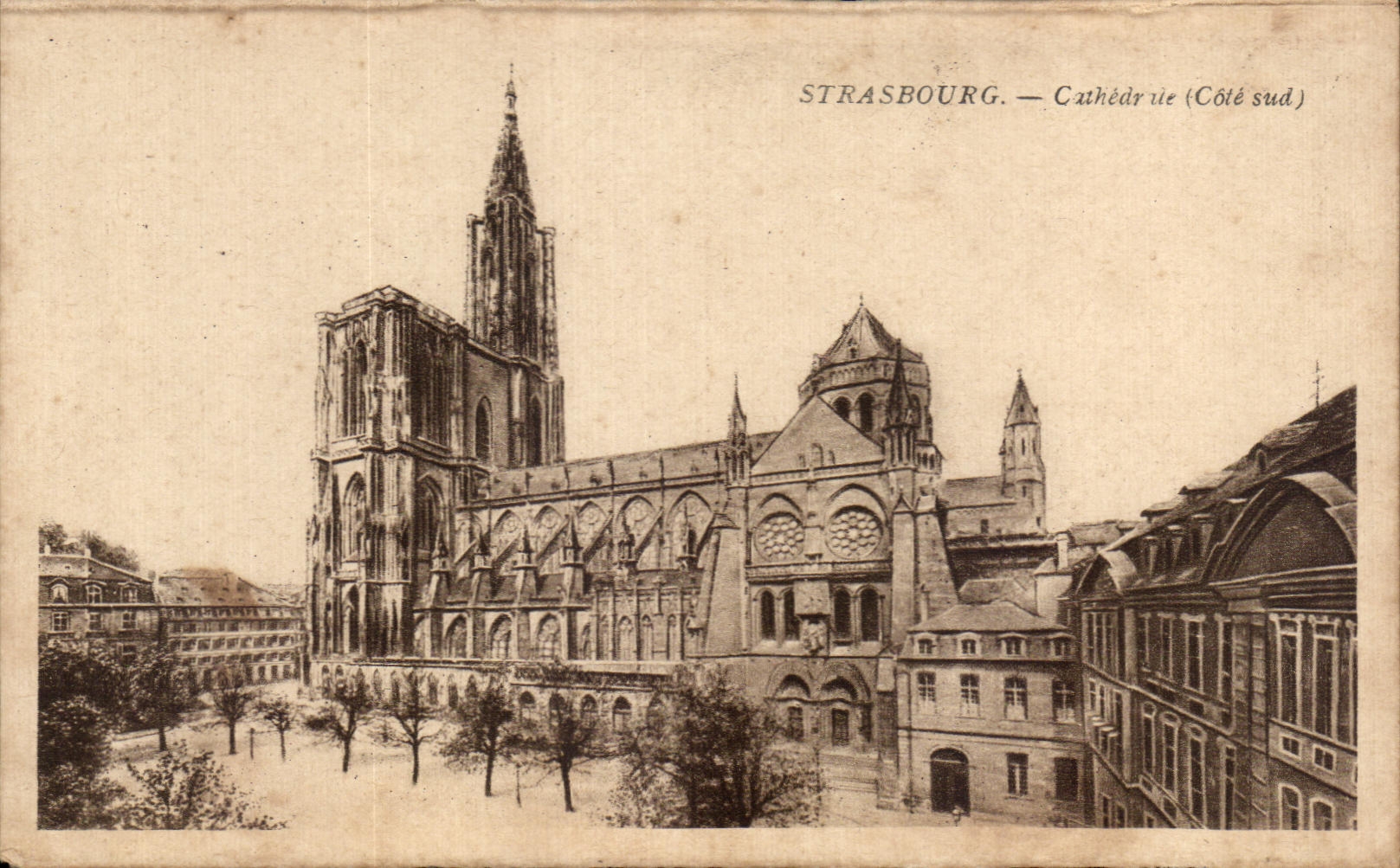 CPA Strasbourg Cathedrale