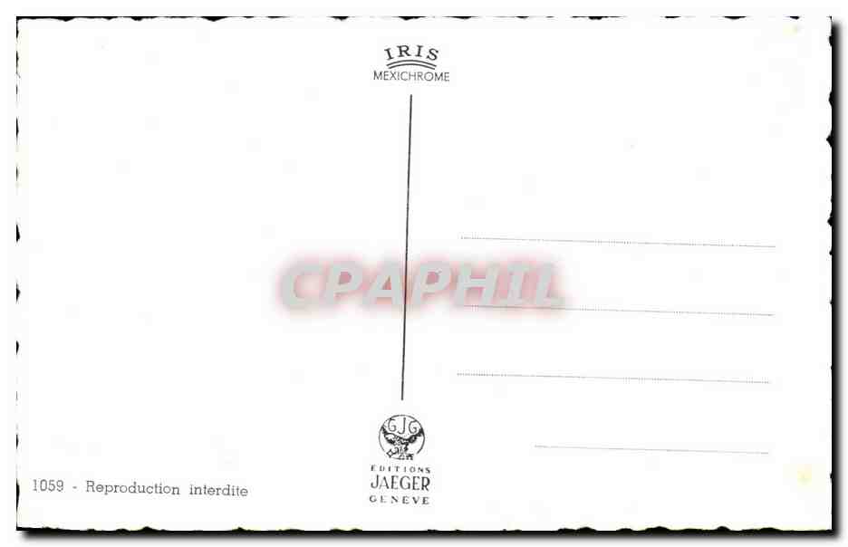 CPA Geneve Cygne  — Verso