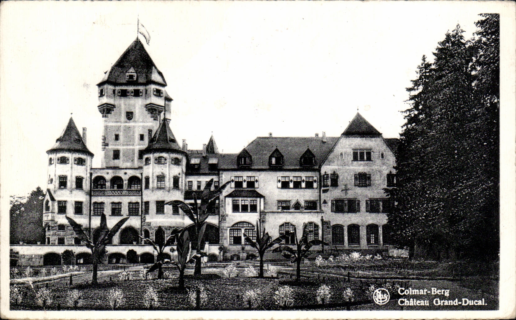 CPA Colmat Berg Chateau Orand Ducal Luxembourg