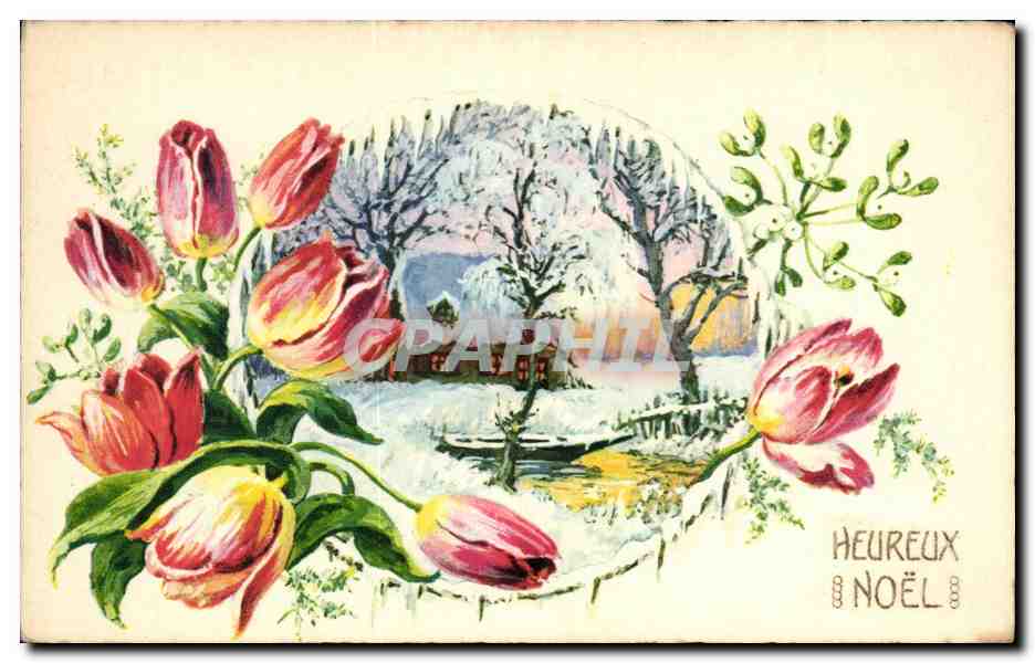 CPA heureux Noel
