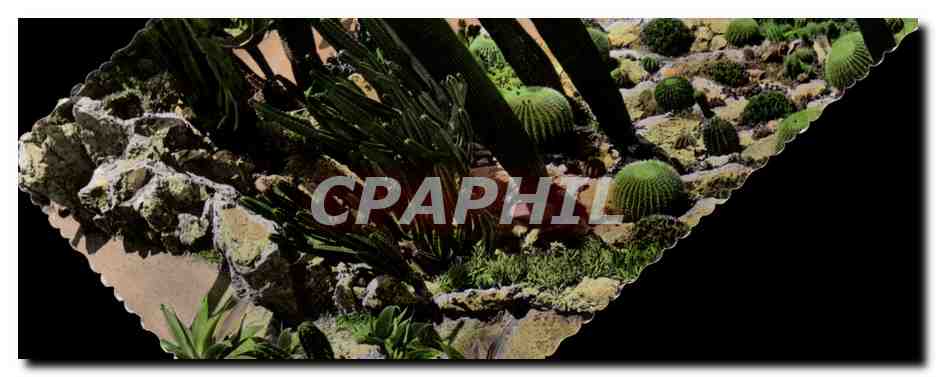 Monte-Carlo — Le Jardin Exotique — Éditions Rella