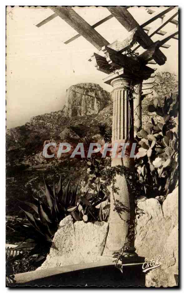 CPA Monaco Le jardin Exotique The Exotic Garden