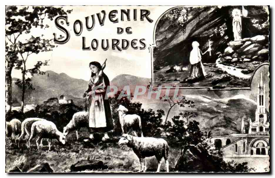 CPA Souvenir De Lourdes Moutons