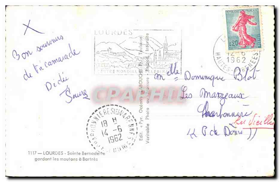CPA Souvenir De Lourdes Moutons — Verso