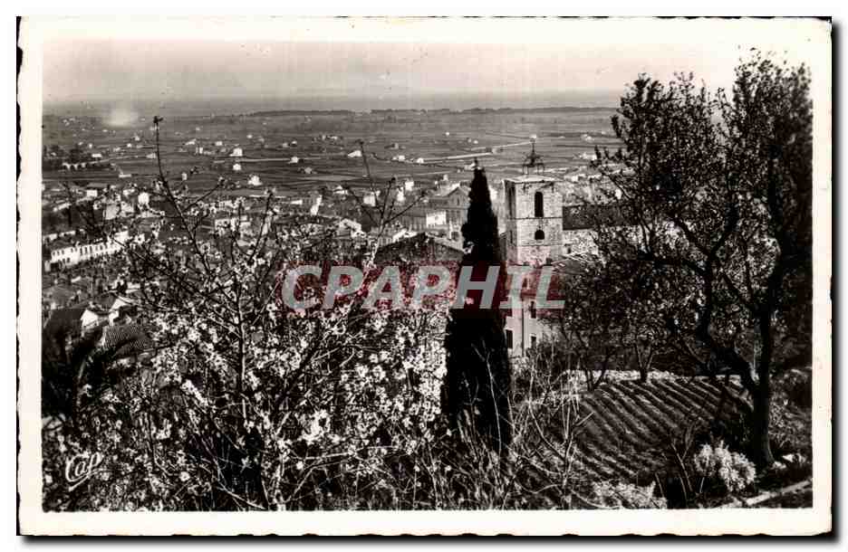Hyères - Vue sur la Plaine — éditeur Réal Photo, n°34
