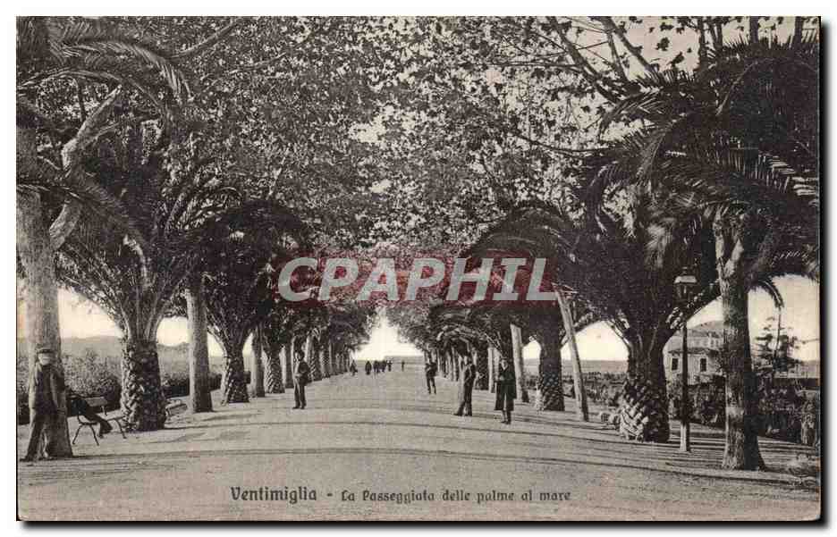 CPA Ventimiglia La Passeggiata dellc palme al mare