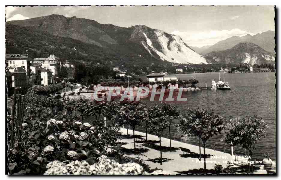 CPA Stresa Primavera Lago Maggiore 