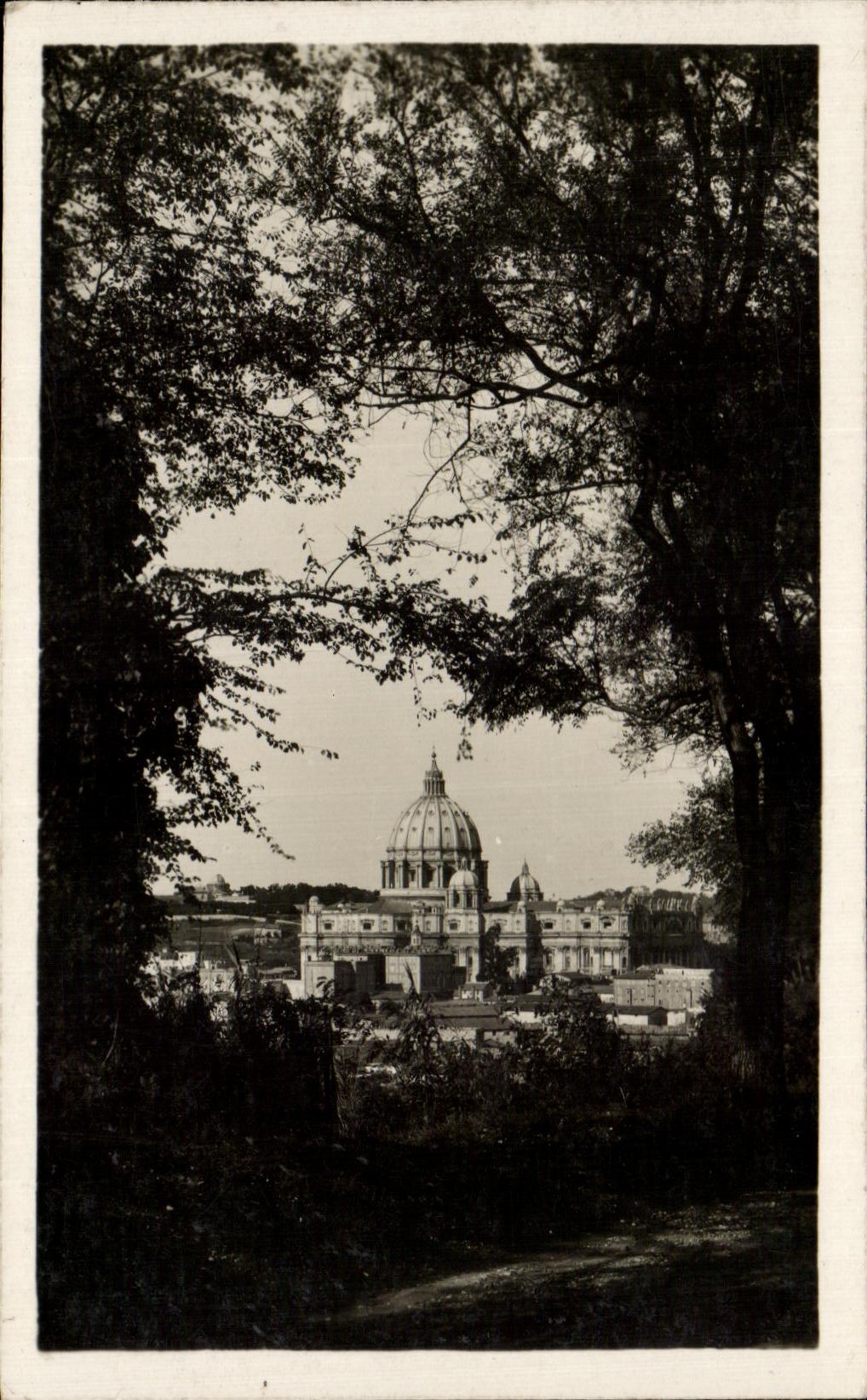 CPA Roma La Basilica di S Pietro vista Dol Gianicolo