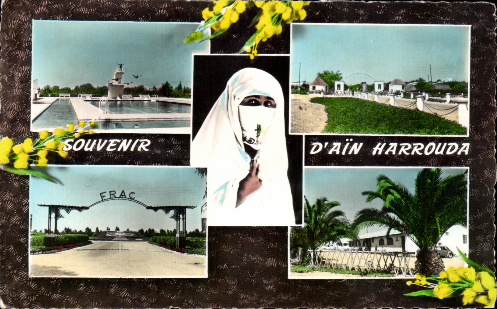 CPA Souvenir D'ain Harrouda Marox Femme 