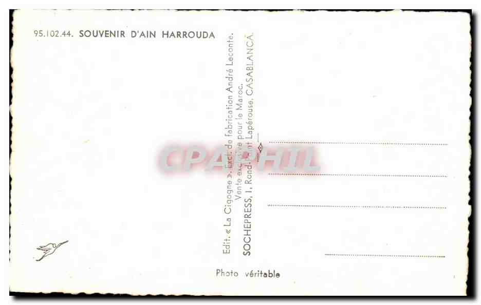 CPA Souvenir D'ain Harrouda Marox Femme  — Rückseite