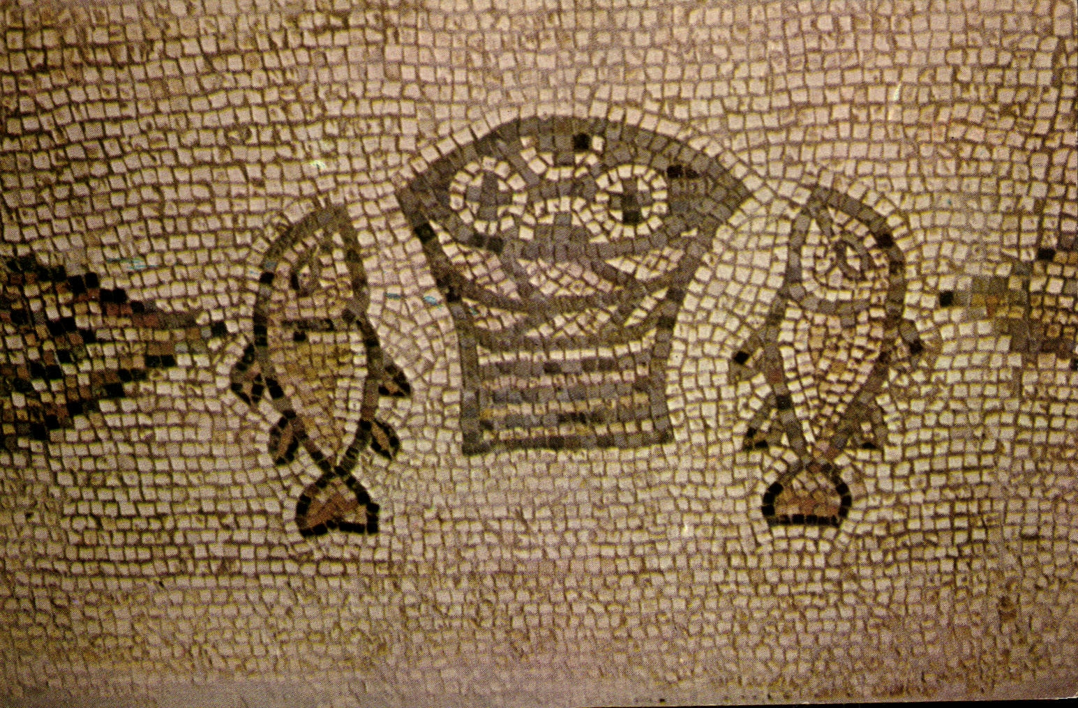CPSM Tabgha Israel