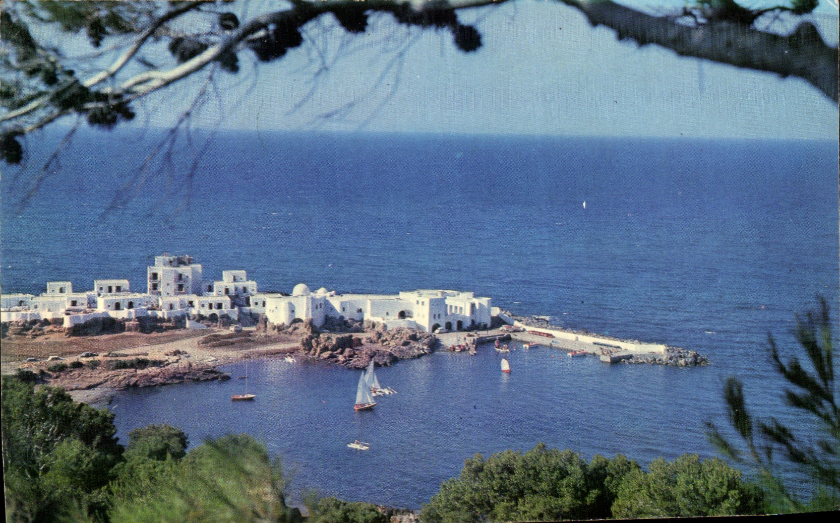 CPA Tipaza Vue Prise De La Colline romische Ruinen Algerie