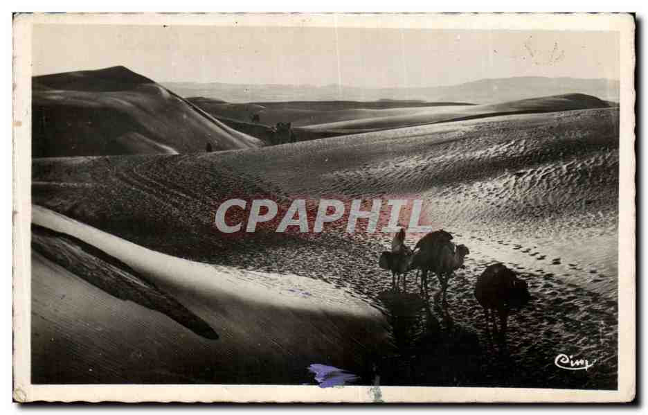 CPA Scenes et Types De L'Afrique du Nord Dans les Dunes Maroc 