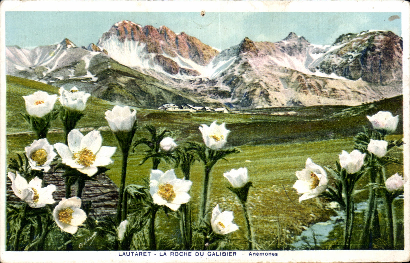 Lautaret - La Roche du Galibier — Anémones — éditeur non identifié, n° de série non visible