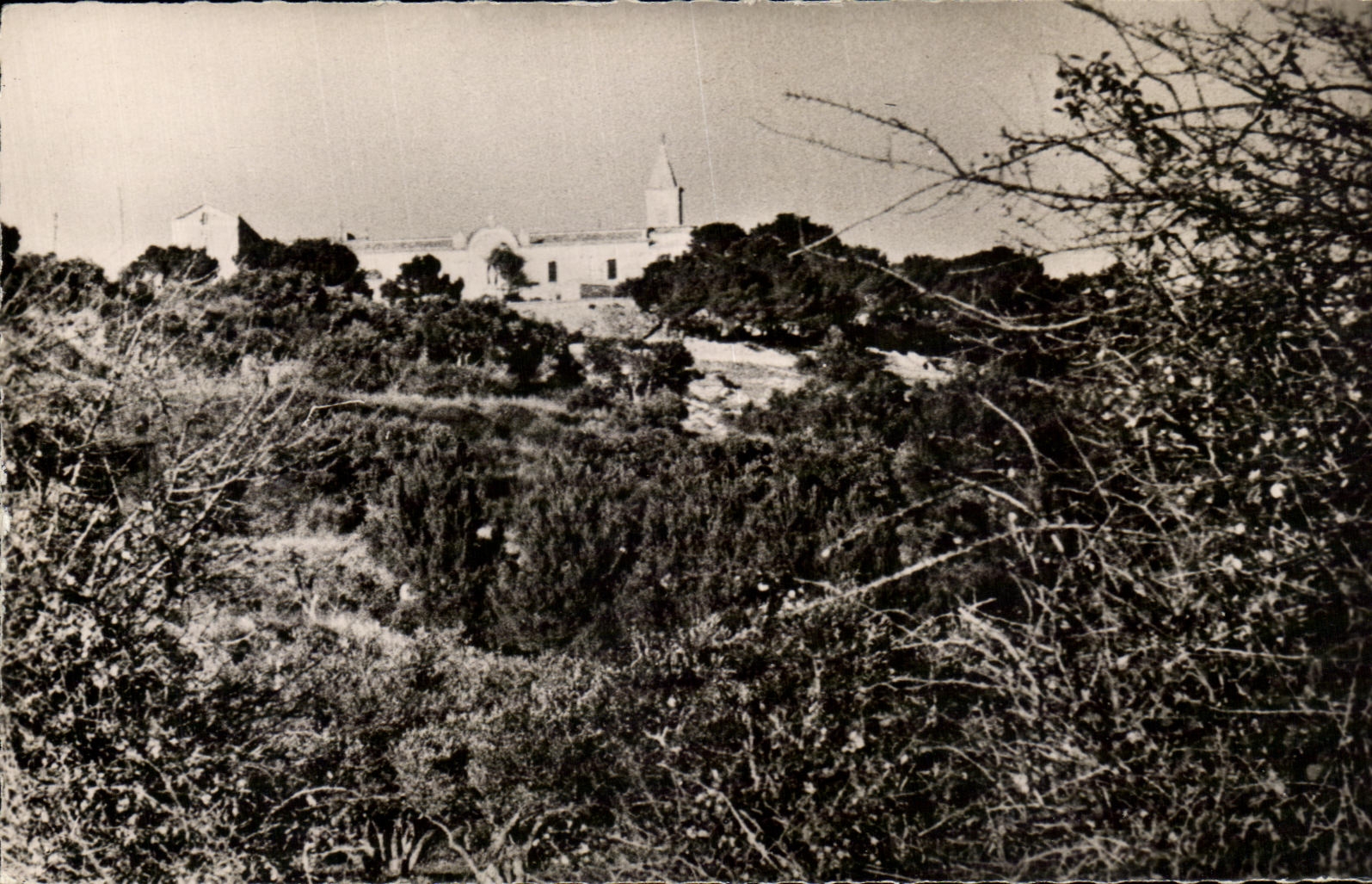 CPA Notre Dame Rochefort Du Gard Vue Panoramique