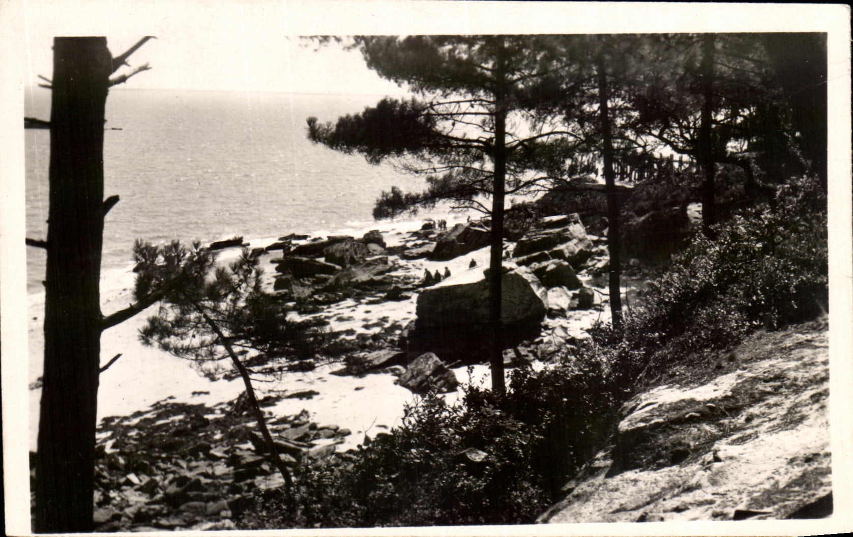 Ile de Noirmoutier — Un coin pittoresque dans le Bois de la Chaize — Edit. N. M. M. — n° 605