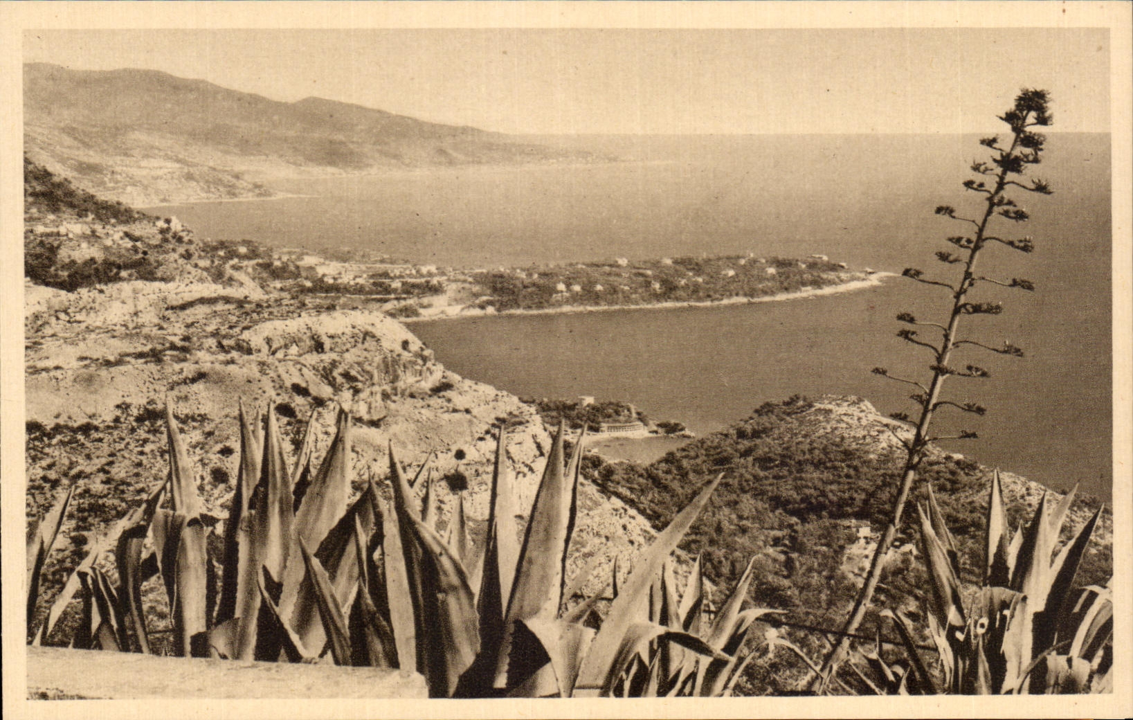 Le Cap Martin vu du Rond-Point de la Turbie (Alpes-Maritimes) — Éditions d'Art Avon, n°394