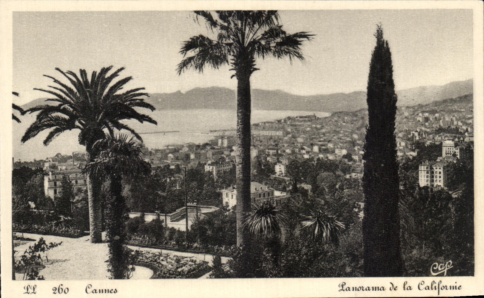 CPA Cannes Panorama De La Californie
