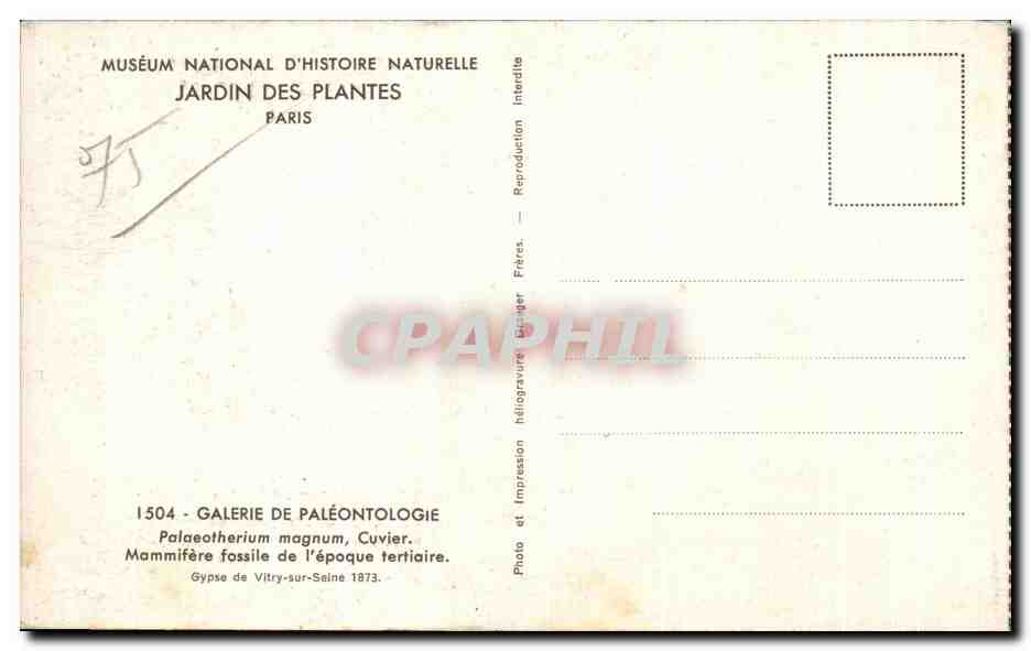 CPSM Museum National D'Histoire Naturelle Jardin Des Plantes Paris Palaeotherium magnim Cuvier  — Verso