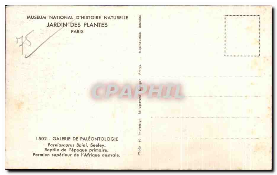 CPSM Museum National D'Histoire Naturelle Jardin Des Plantes ParisPareiasaurus Baini Seeley Reptile — Verso