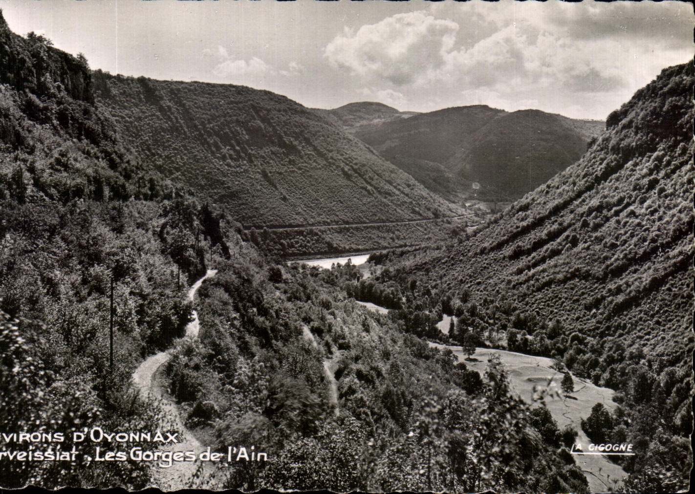 CPA Environs d'Oyonnax Corveissiat Les Gorges de l'Ain