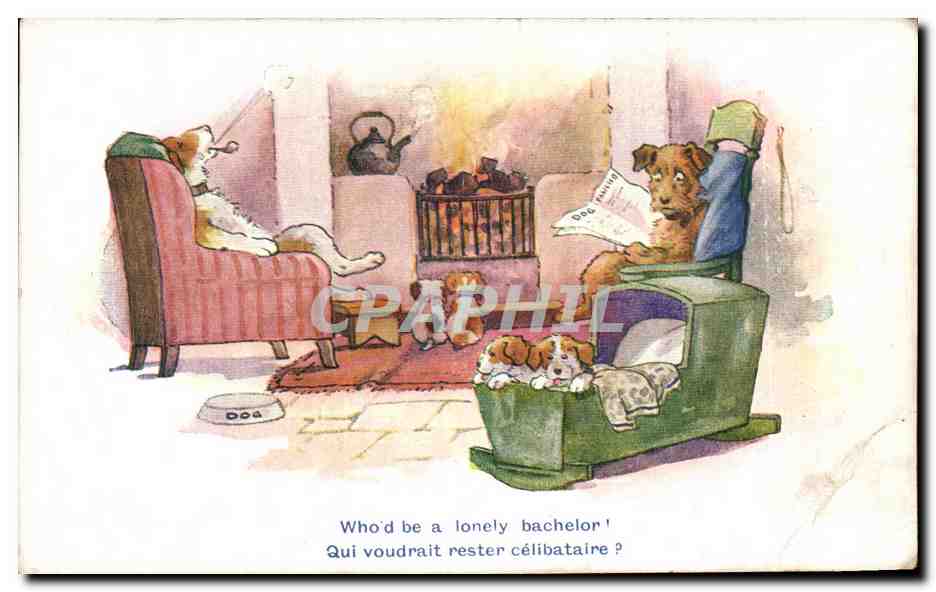 Chiens dans un salon — humoristique — Inter-Art Co. 'COMIQUE' série n°2901