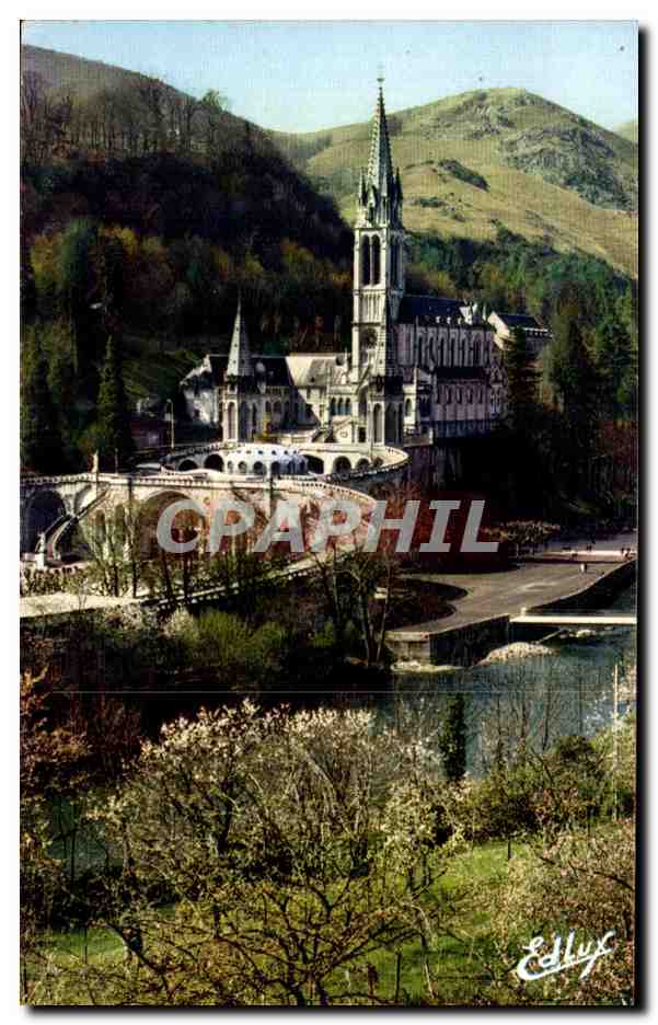 CPSM Lourdes La Basilique Le Gave Et Le Nouveau Pont 