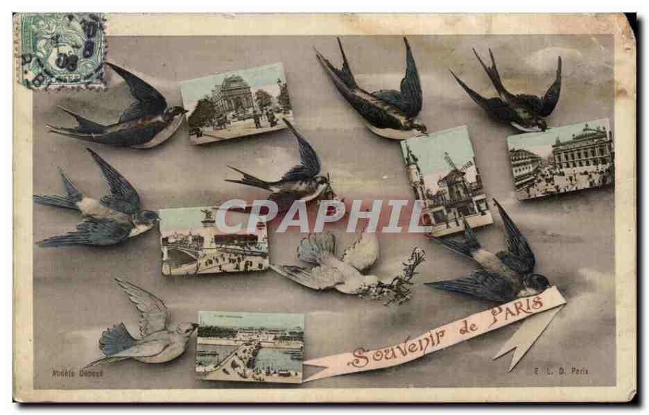 CPA Souvenir de Paris Hirondelles