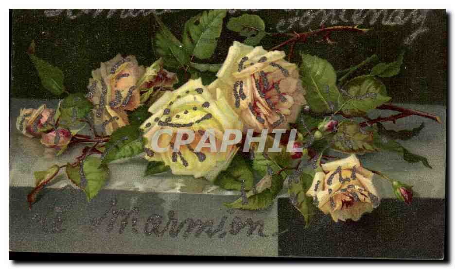 Roses jaunes — édition de la maison de l'artiste — 'Vitarmion'