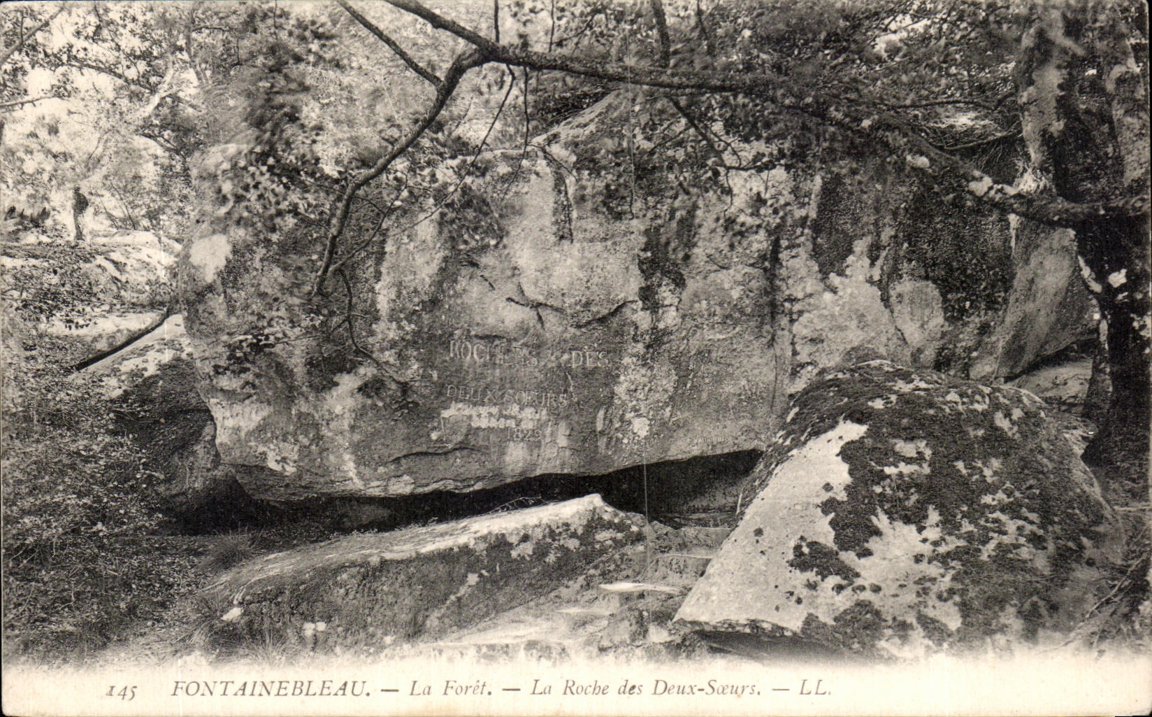 Fontainebleau — La Forêt — La Roche des Deux-Sœurs — LL. — N° 145