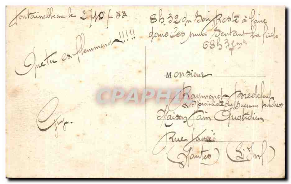 Foresta di FONTAINEBLEAU — Panorama scattato dal Mail Henri IV — editore non identificato, n° di serie 187 — Verso