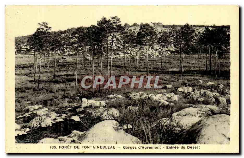 Forêt de Fontainebleau — Gorges d'Apremont — Entrée du Désert