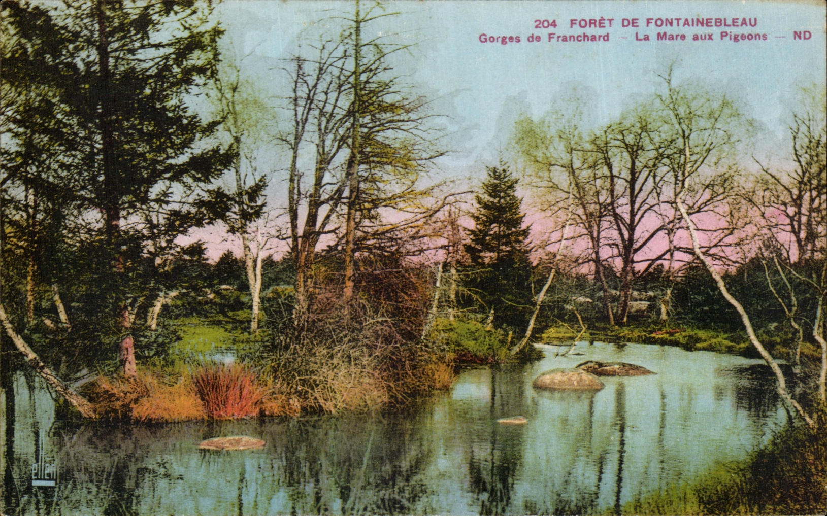 Gorges de Franchard — La Mare aux Pigeons — Bosque de Fontainebleau — N° 204