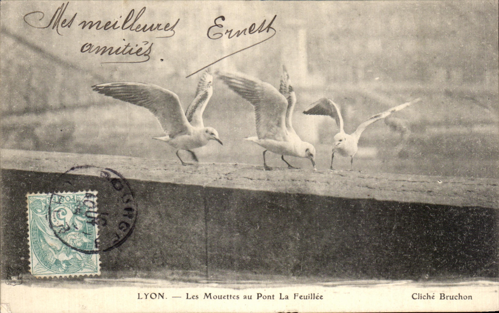 LYON — Les Mouettes au Pont La Feuillée — Cliché Bruchon