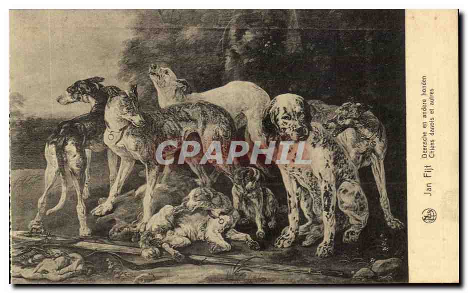 Chiens de chasse — diverses races — Jan Fijt