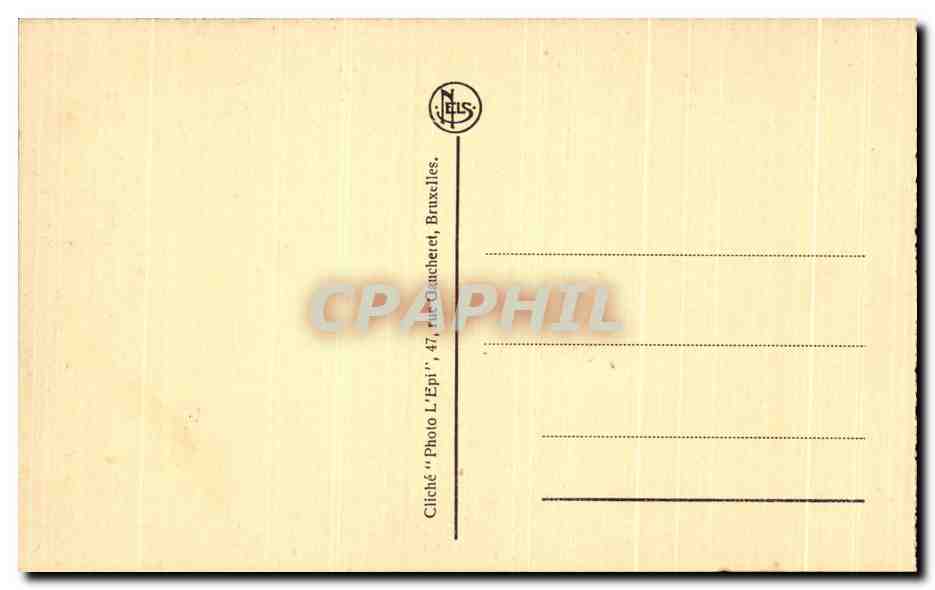 Chiens de chasse — diverses races — Jan Fijt — Rückseite
